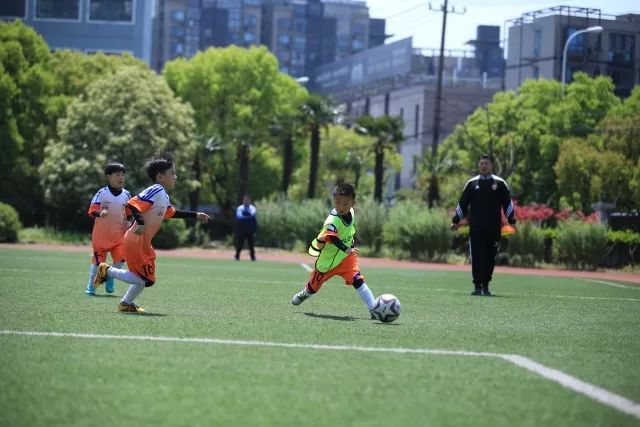 比利时世界排名跌落至第6位 黄金一代曾霸榜1年半